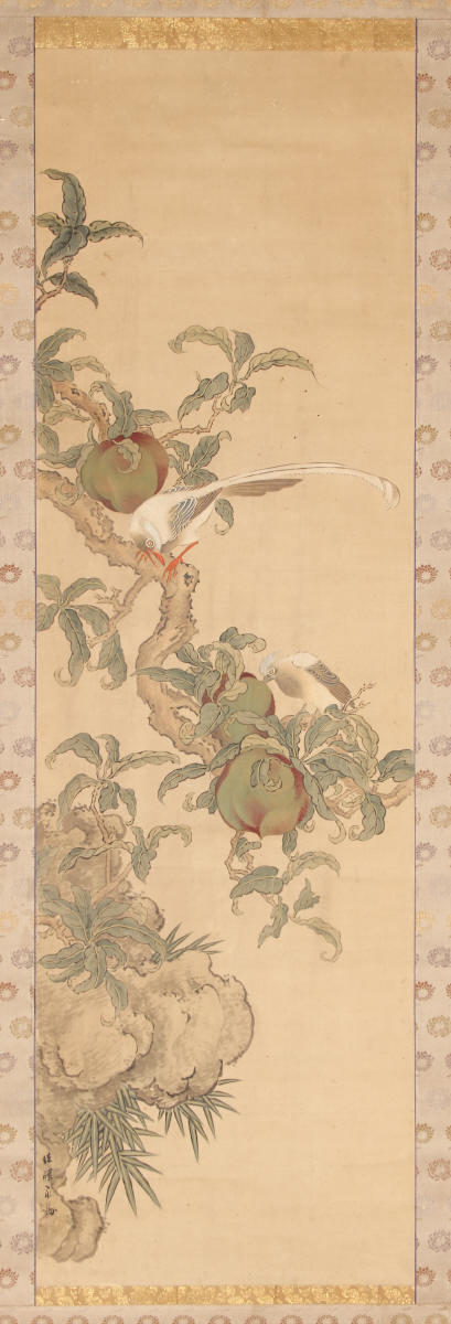 桃寿帯鳥図