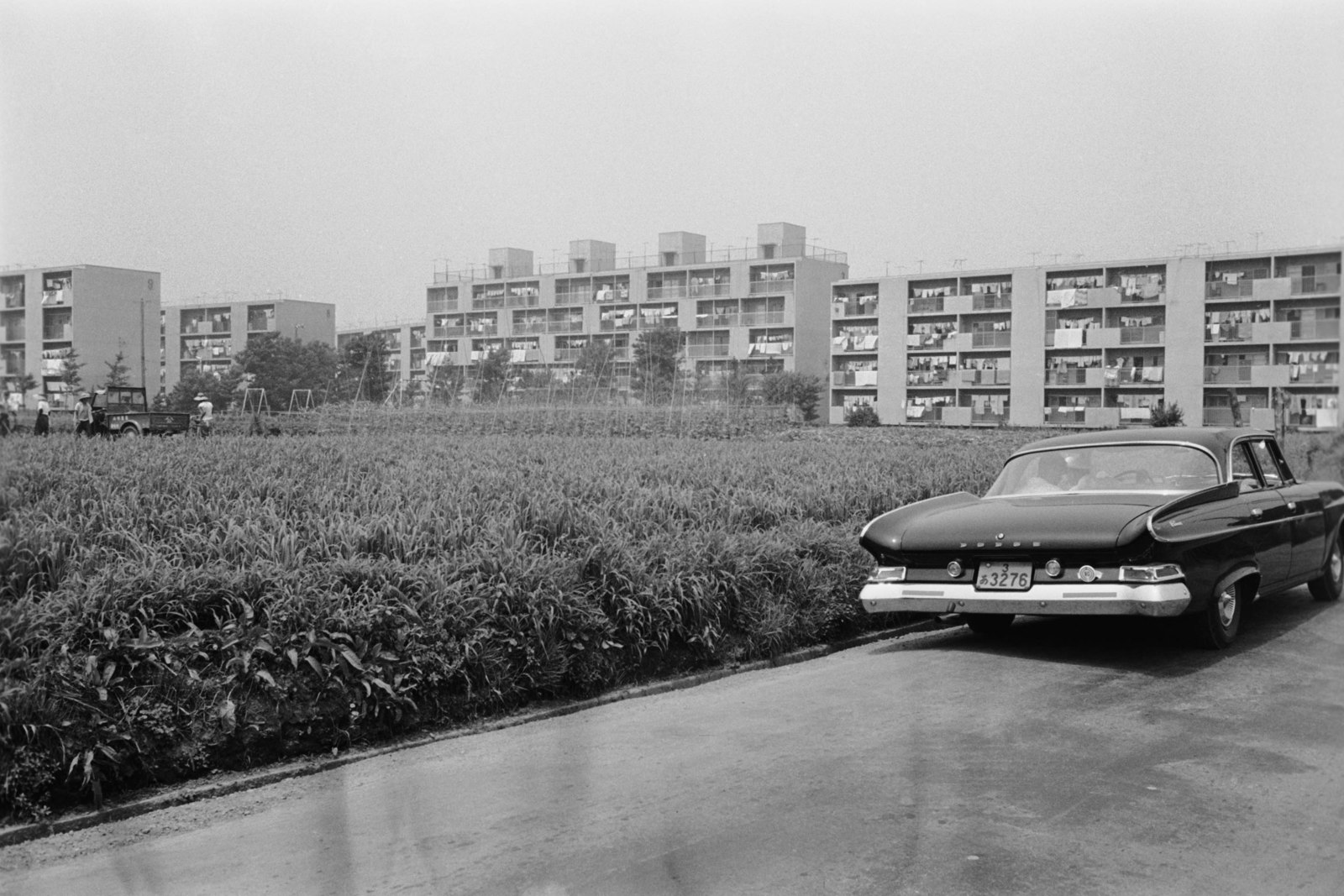 芦花公園前住宅