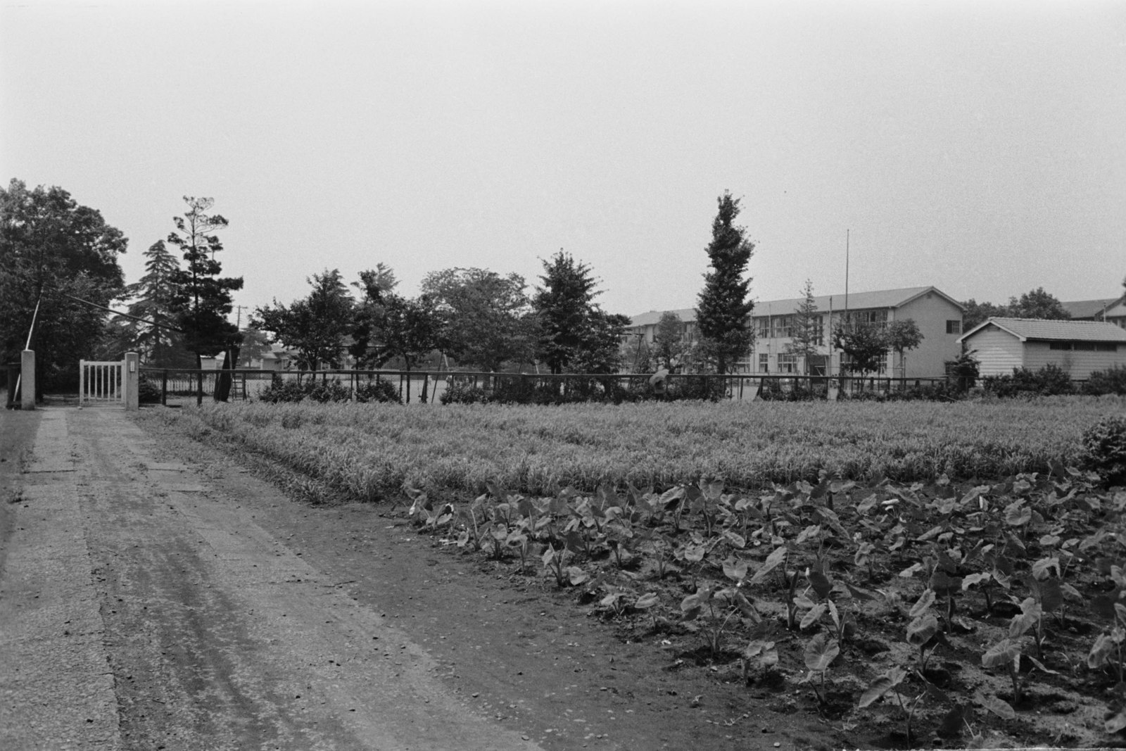 塚戸小学校