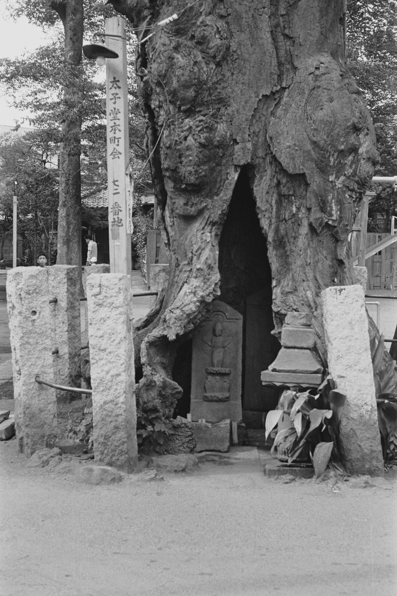 円泉寺山門脇の庚申塔（青面金剛像）