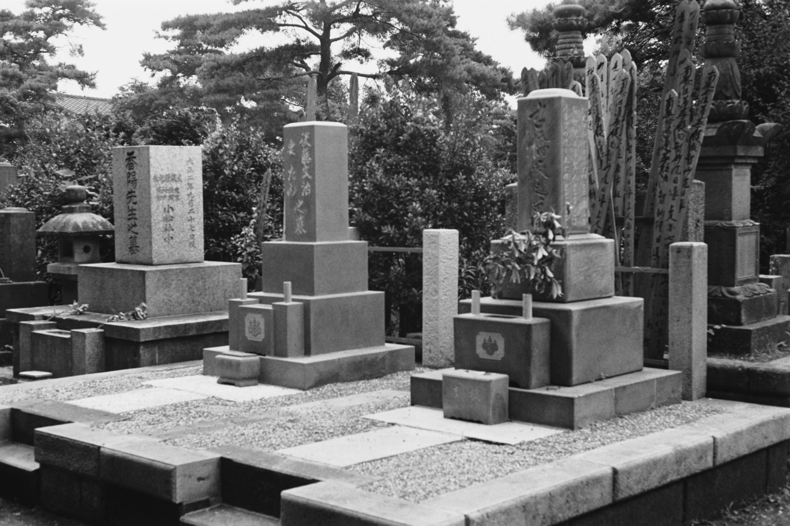 妙高寺墓地