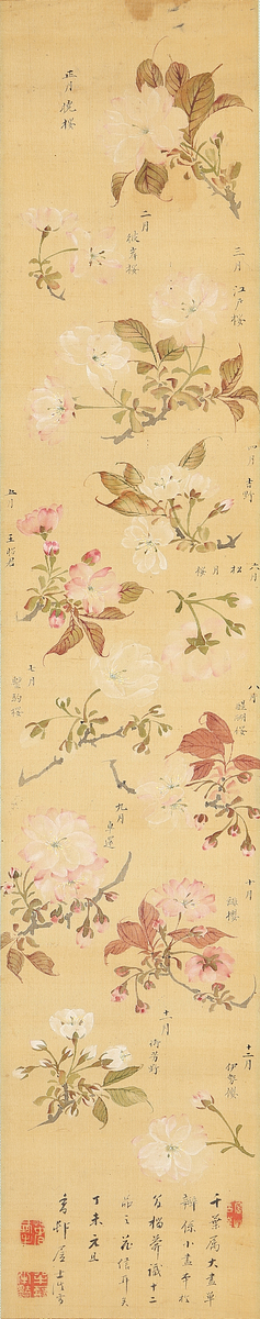 十二ケ月桜花図
