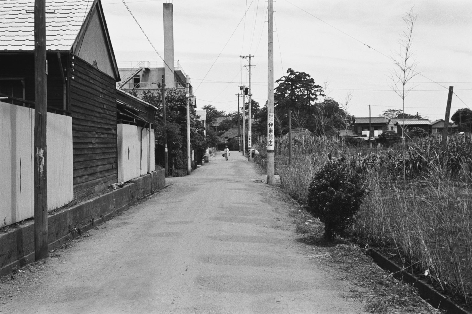 奥沢1-3付近道路