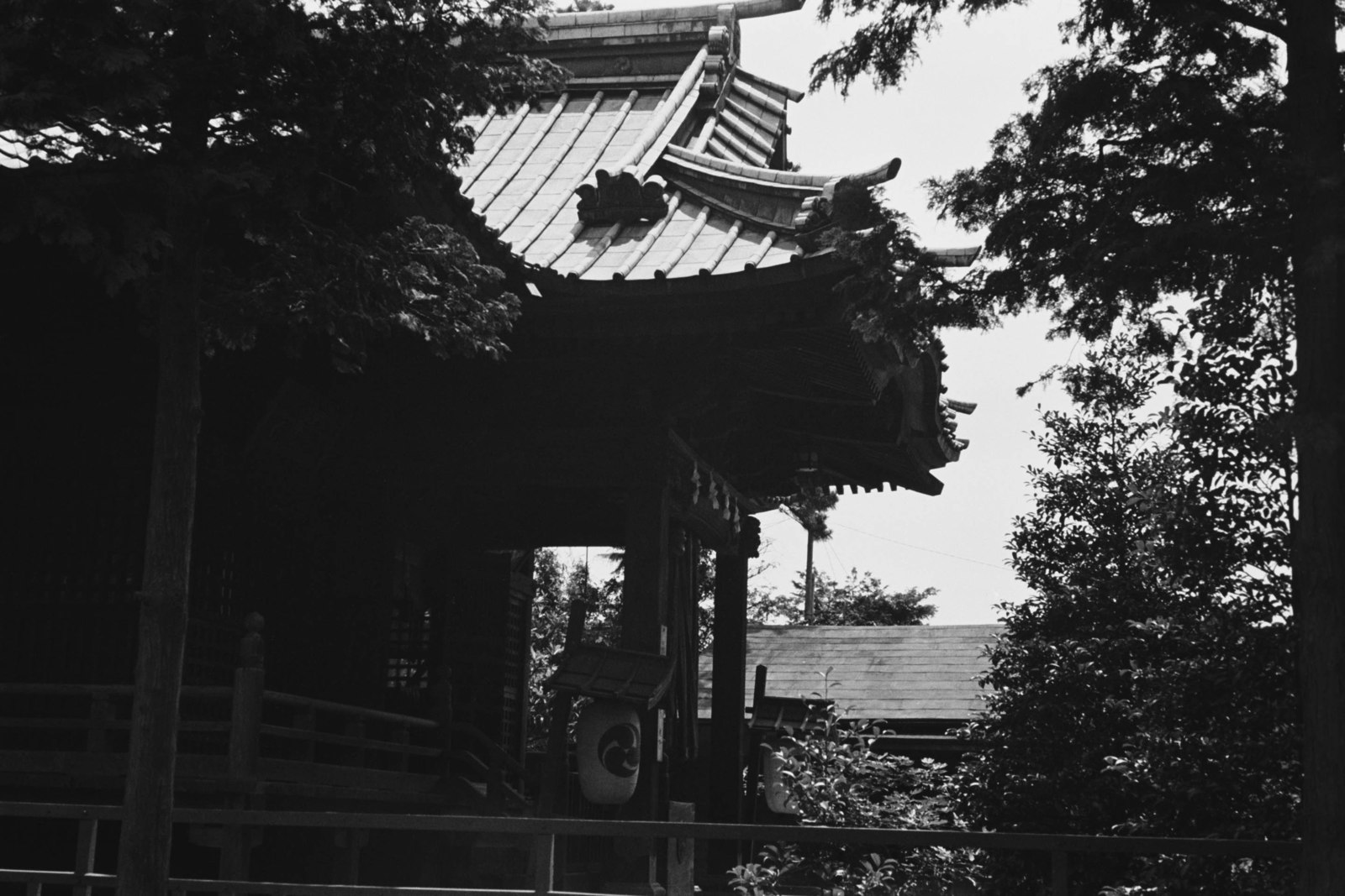 東玉川神社社殿を側面より望む