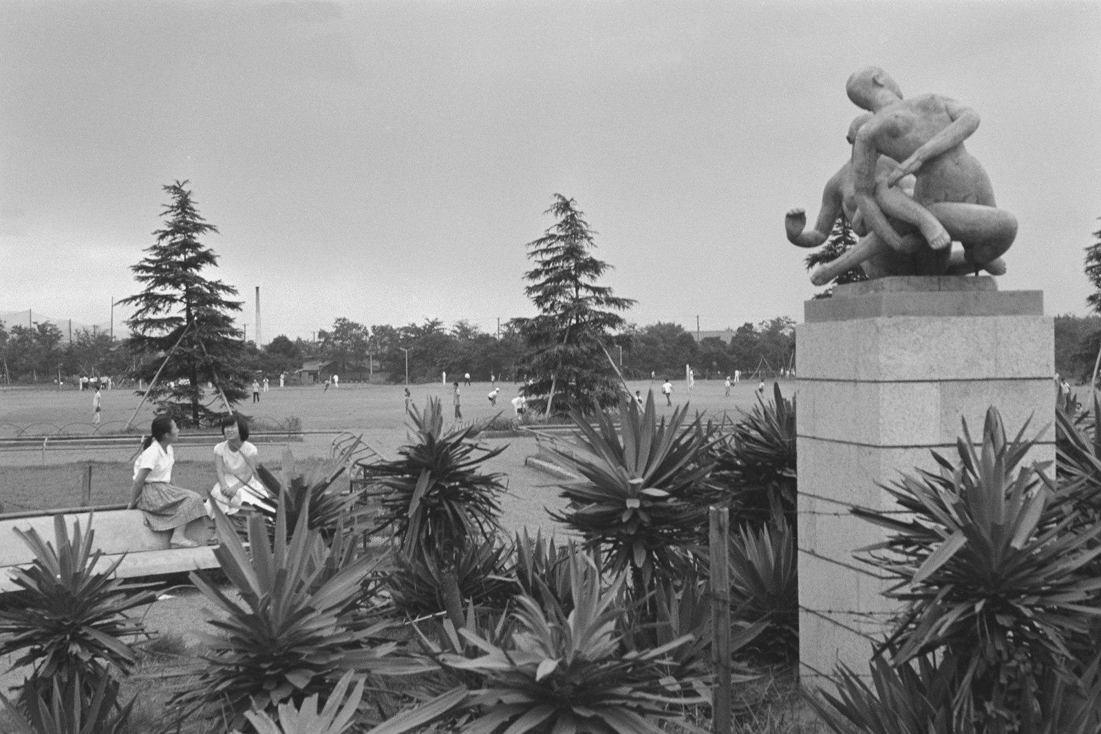 世田谷公園