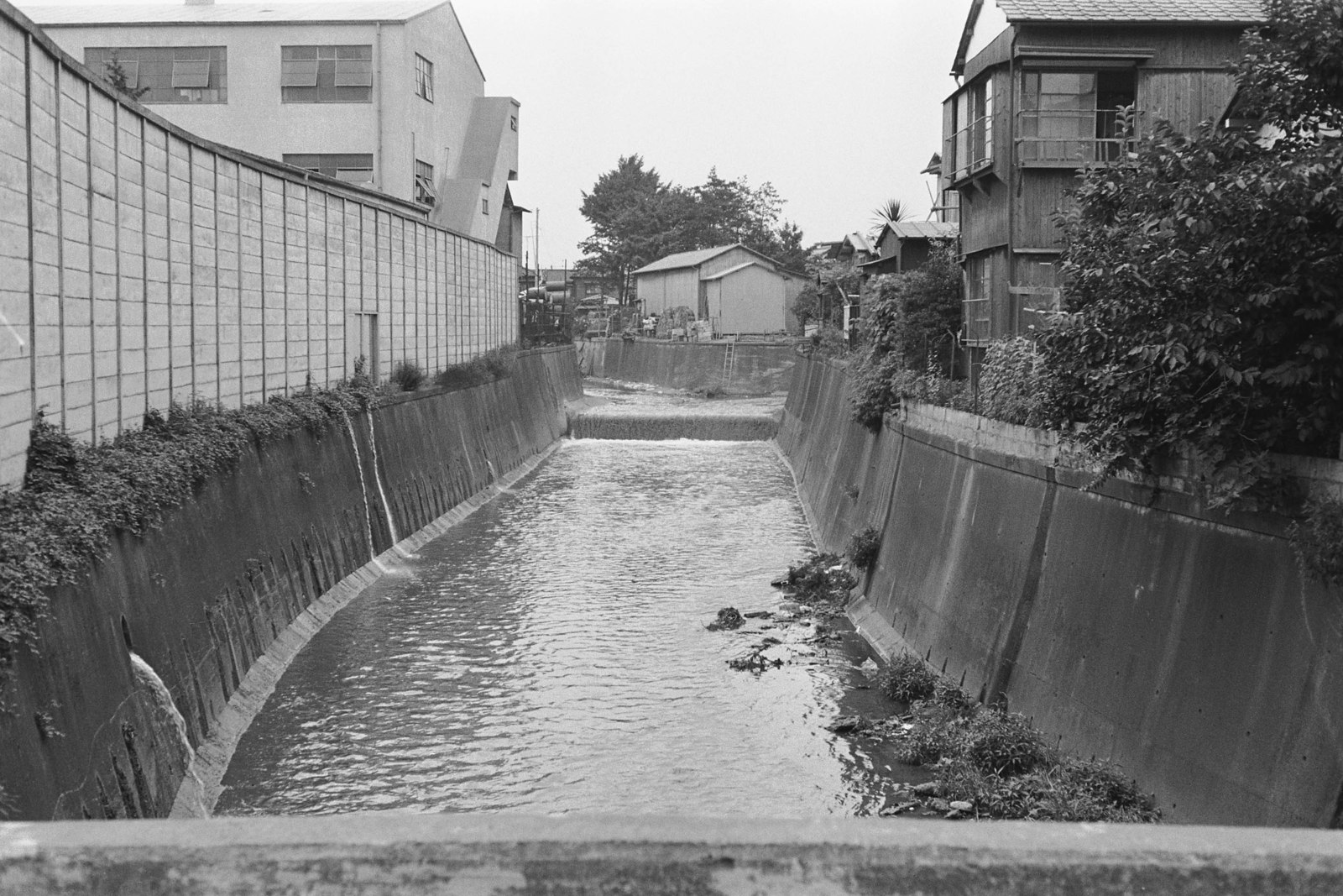 目黒川