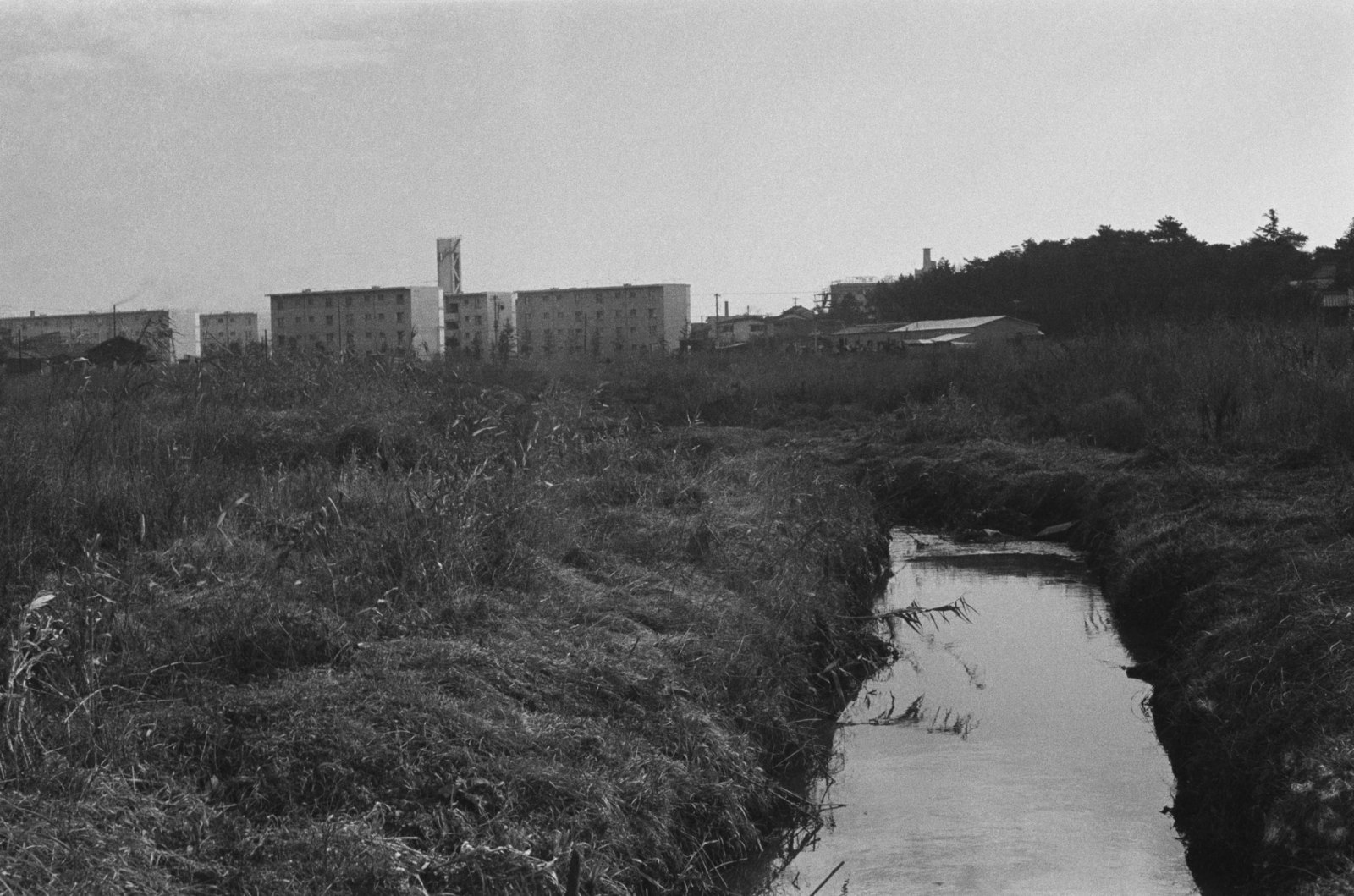 廻沢風景