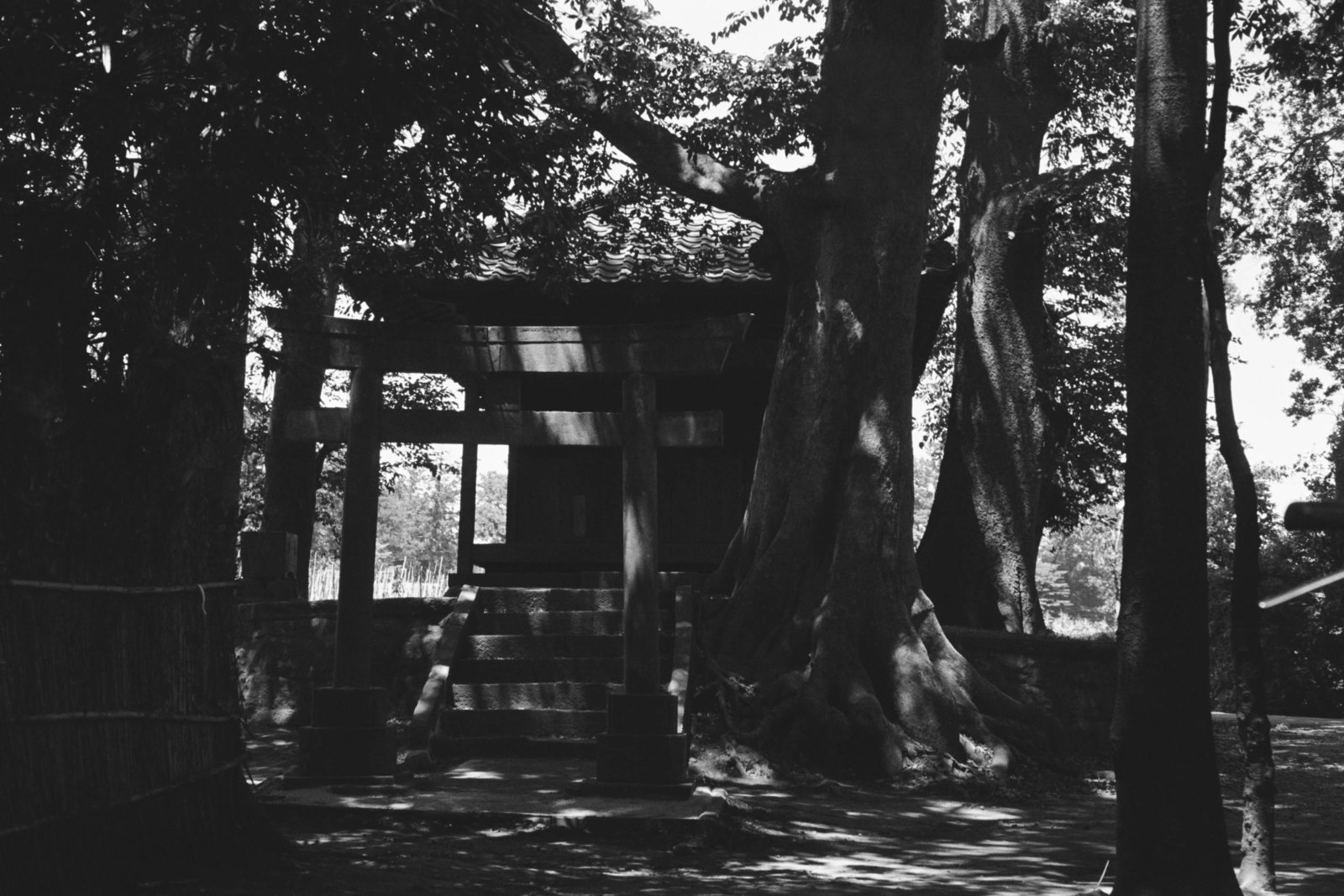 須賀神社