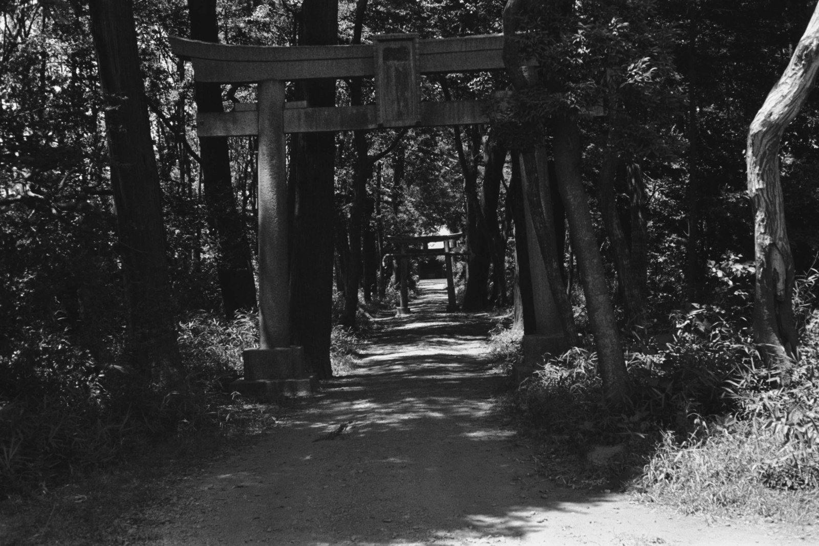 喜多見氷川神社参道