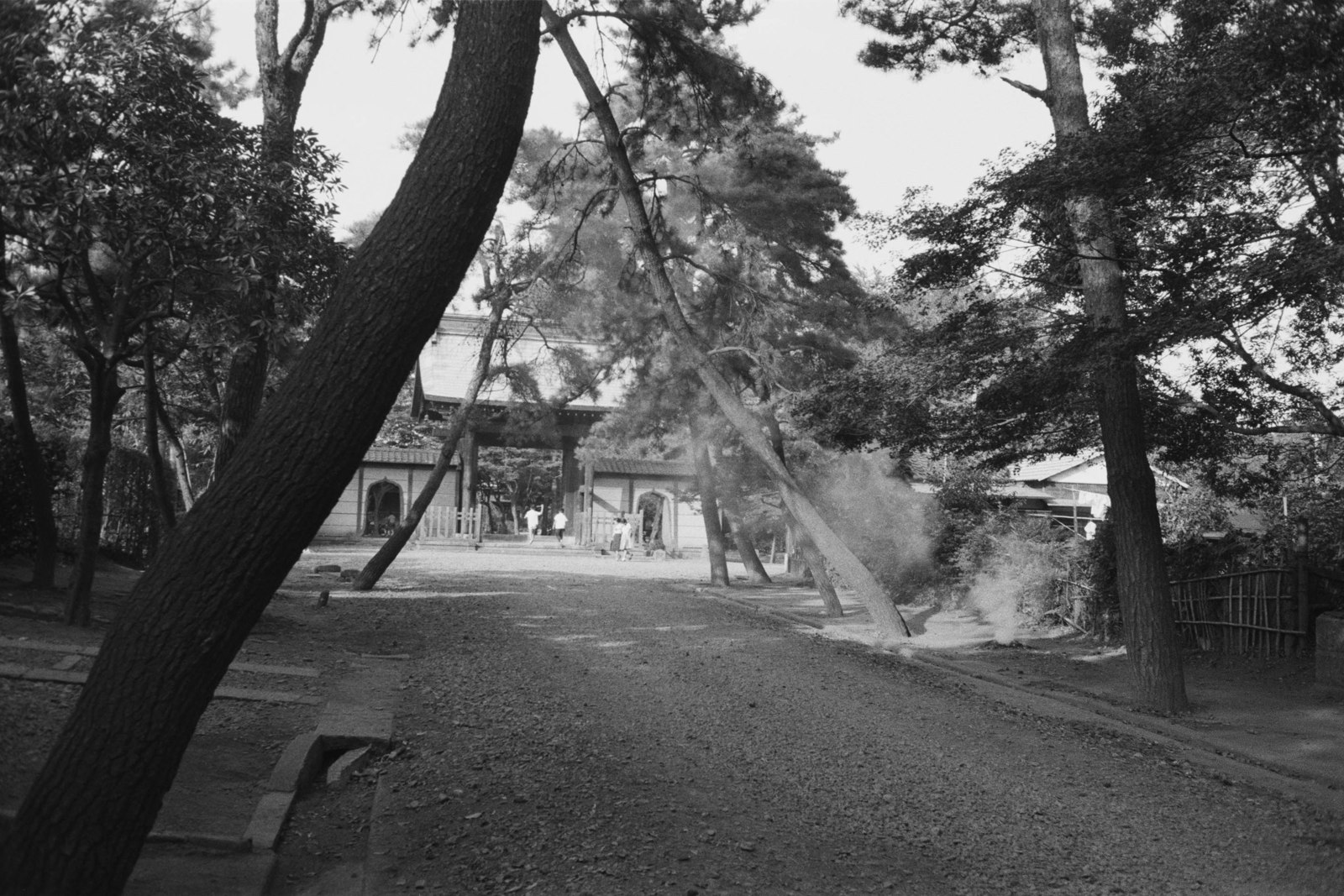 豪徳寺山門