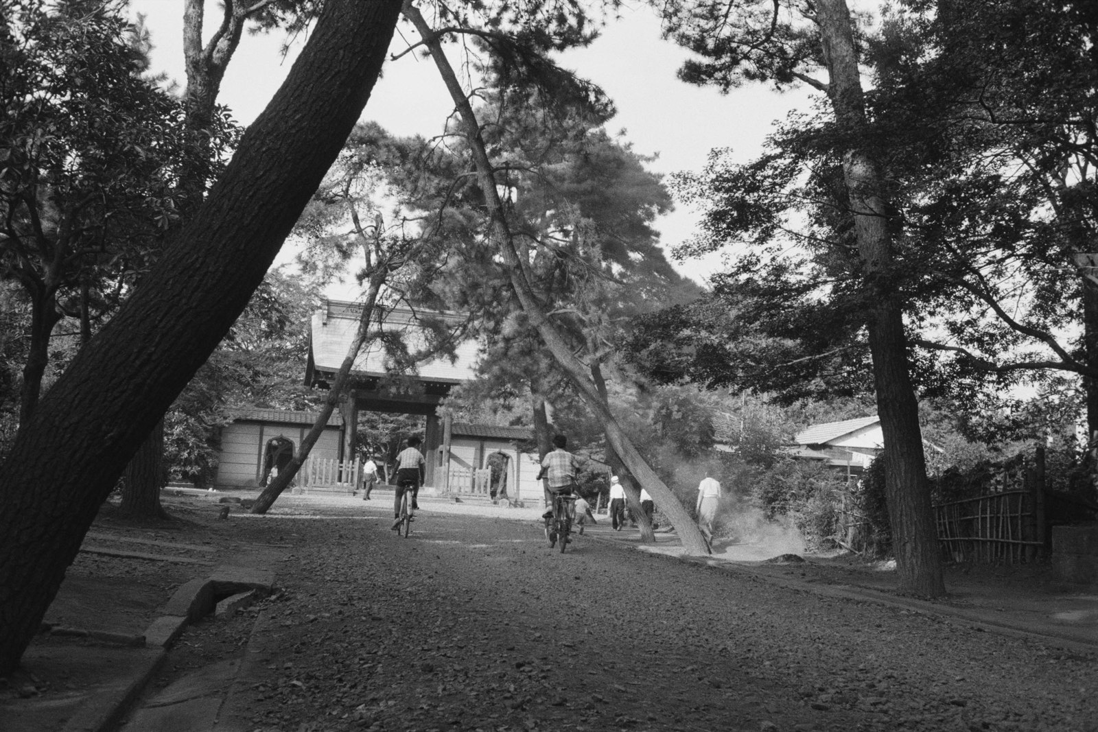 豪徳寺山門