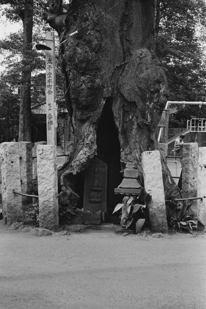 円泉寺山門脇の庚申塔