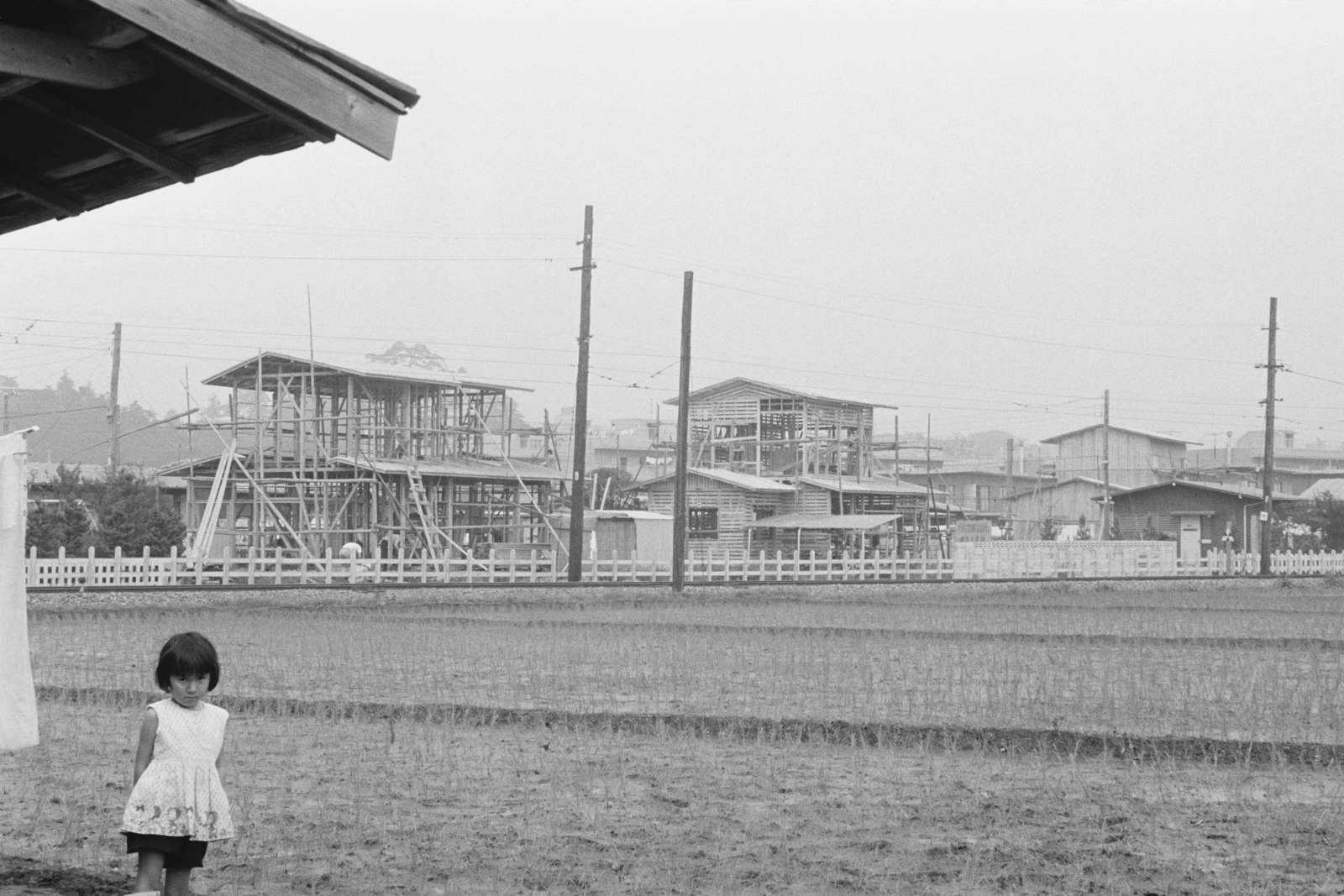 中耕地風景（砧線中耕地～吉沢駅間）玉川3-39-14付近より東急砧線を挟み国分寺崖線を見る