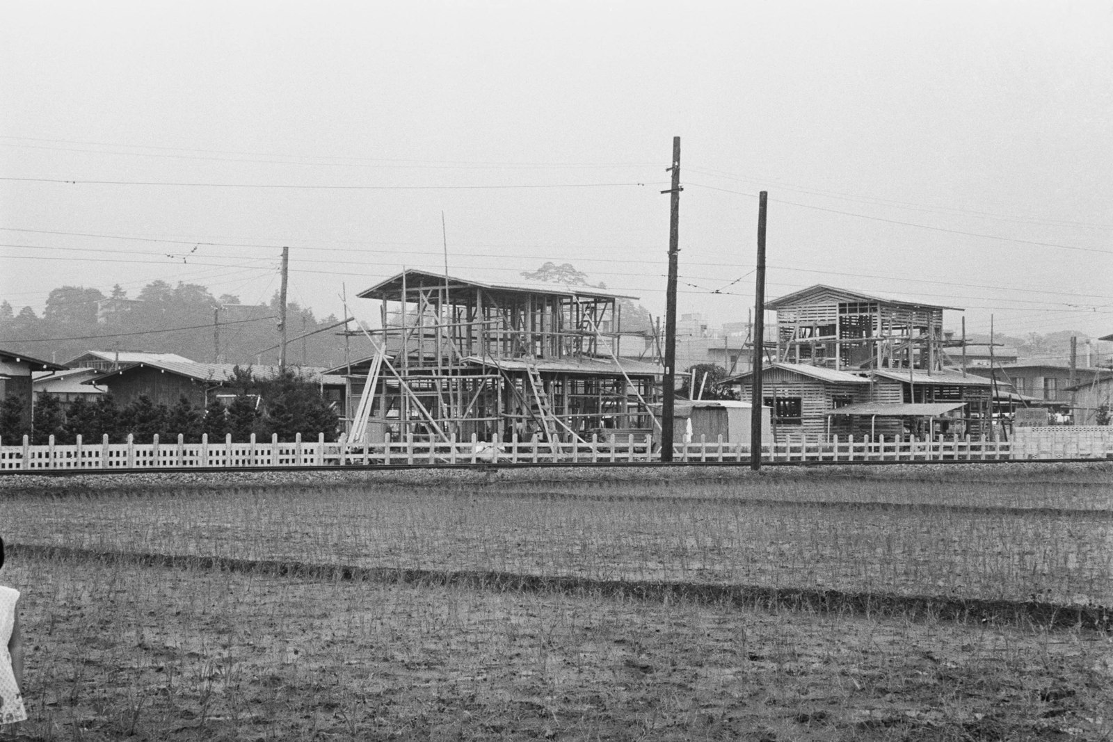 中耕地風景（砧線中耕地～吉沢駅間）玉川3-39-14付近より東急砧線を挟み国分寺崖線を見る