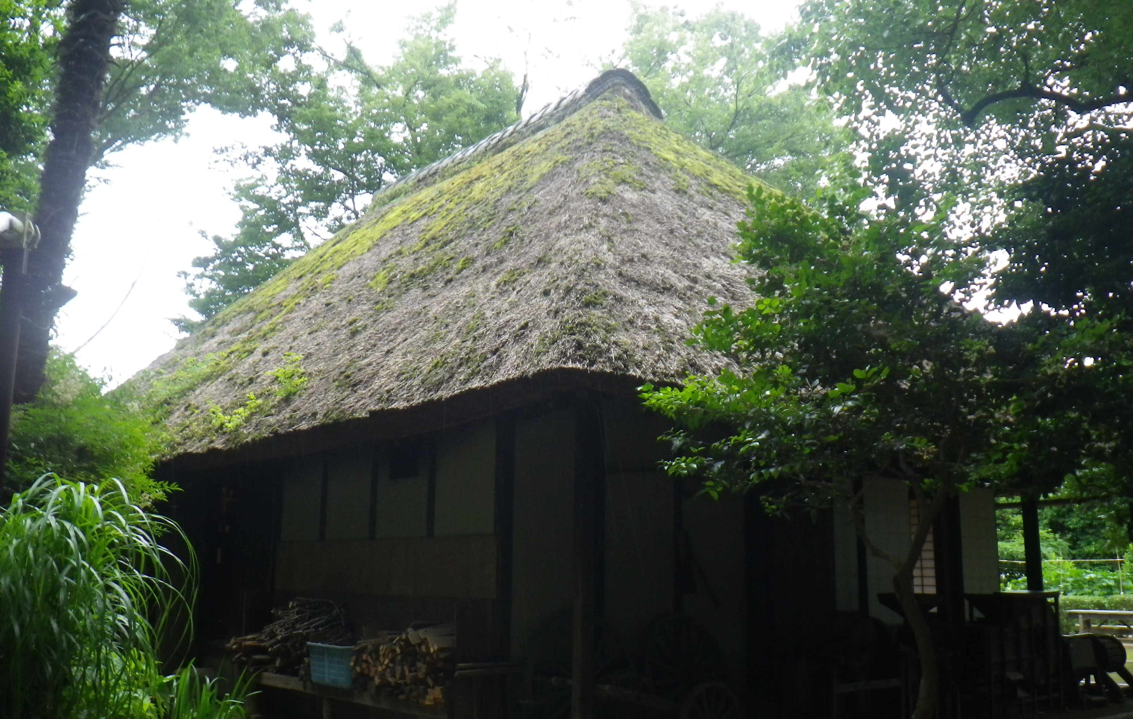 旧長崎家住宅主屋の茅葺き屋根修繕工事がはじまりました お知らせ 世田谷デジタルミュージアム