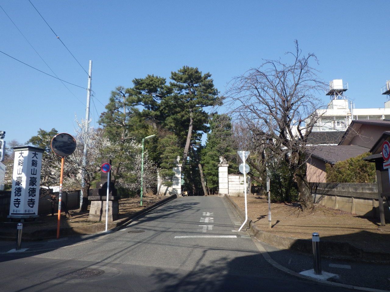 城山通りから見た豪徳寺参道